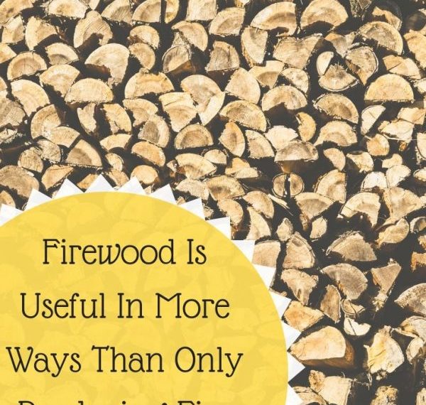 Firewood Is Useful In More Ways