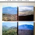 CanvasDiscount Photo Tiles Canvases