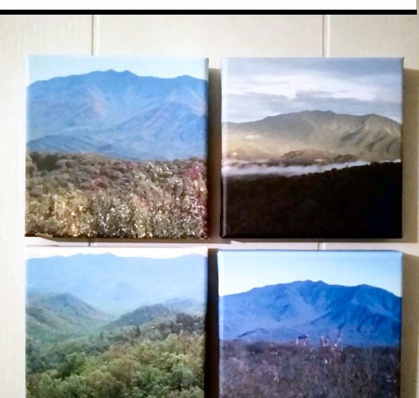 CanvasDiscount Photo Tiles Canvases