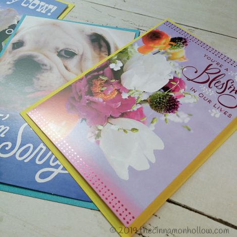 Heartline A Hallmark Company Greeting Cards Available At Dollar Tree - Exclusive Designs