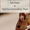 Common Pests: Pest Control