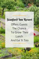 Stanford Inn Resort