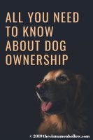Dog Ownership