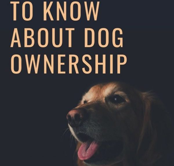 Dog Ownership