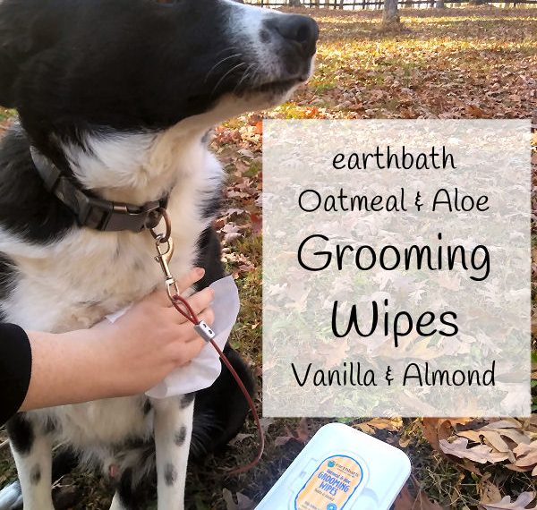 Earthbath Dog Grooming Wipes