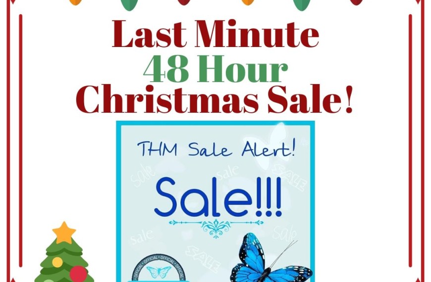 THM Cyber Monday Continued Sale