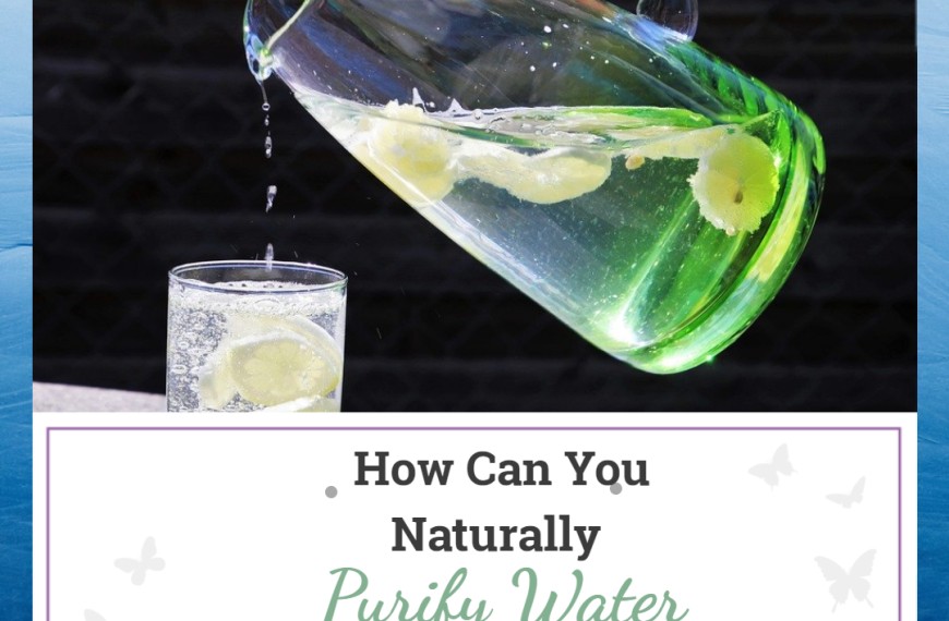 How Can You Naturally Purify Water At Home?