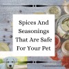 Spices And Seasonings That Are Safe For Your Pet
