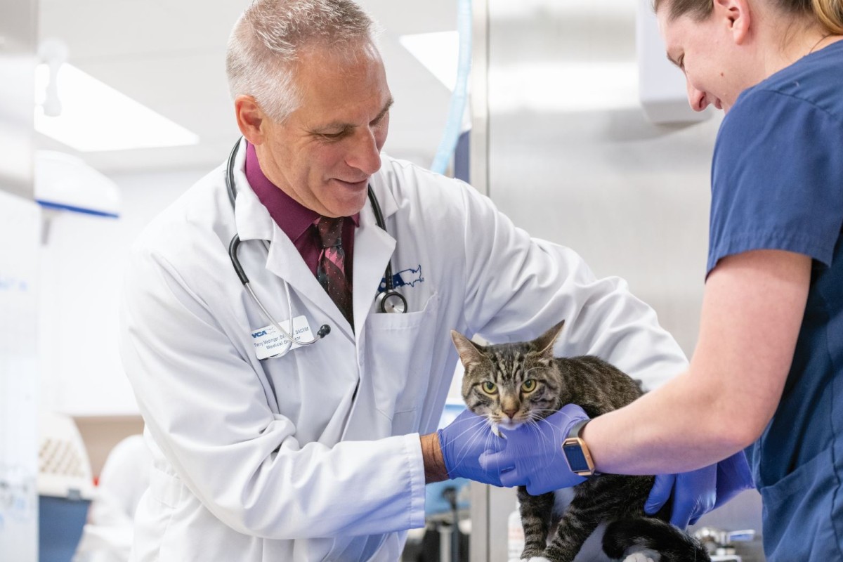 VCA Animal Hospitals - Animal Hospital Services