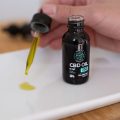 CBD Oil For Cats