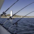 Booking a Fishing Charter