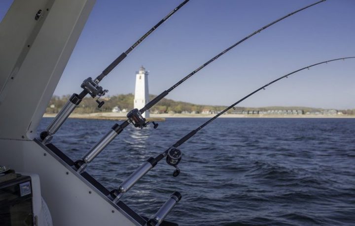 4 Things To Consider When Booking A Fishing Charter