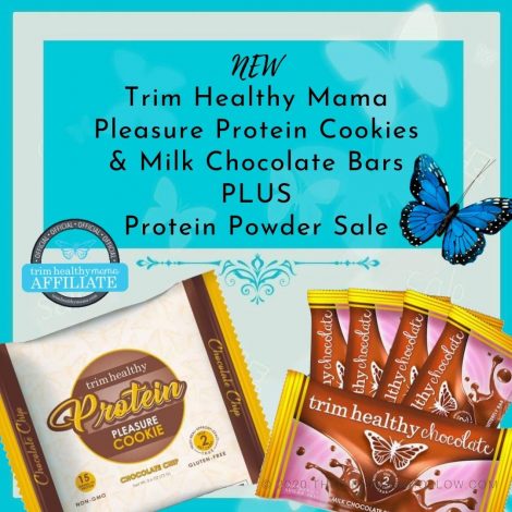 Trim Healthy Mama Protein Pleasure Cookie