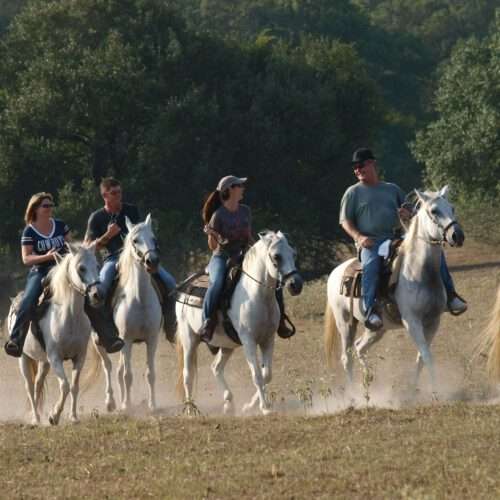 Old Fashioned Christmas - BlissWood Bed and Breakfast Ranch