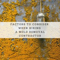 Factors To Consider When Hiring A Mold Removal Contractor