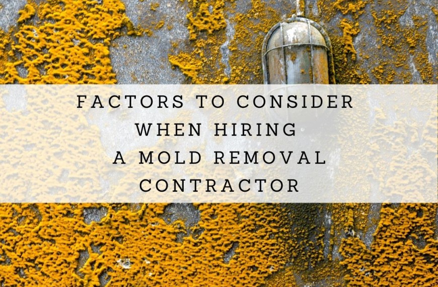 Factors To Consider When Hiring A Mold Removal Contractor