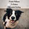 Proven Methods To Reduce Unwanted Barking
