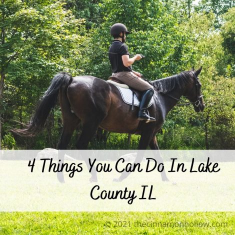4 Things You Can Do In Lake County IL