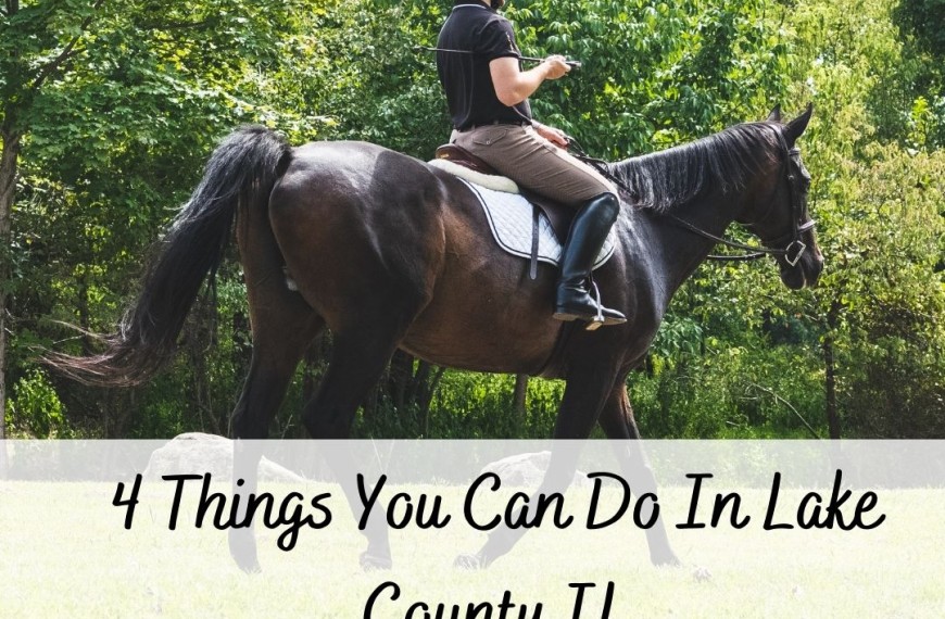4 Things You Can Do In Lake County IL