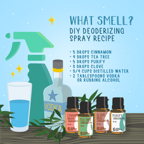 DIY Deodorizing Spray Recipe - RMO