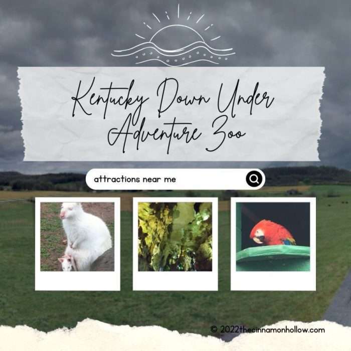 Kentucky Down Under Adventure Zoo