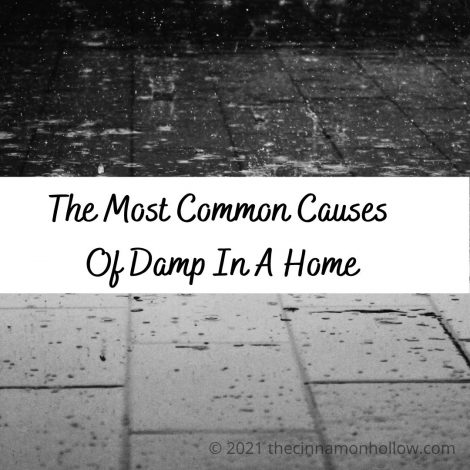 The Most Common Causes Of Damp In A Home
