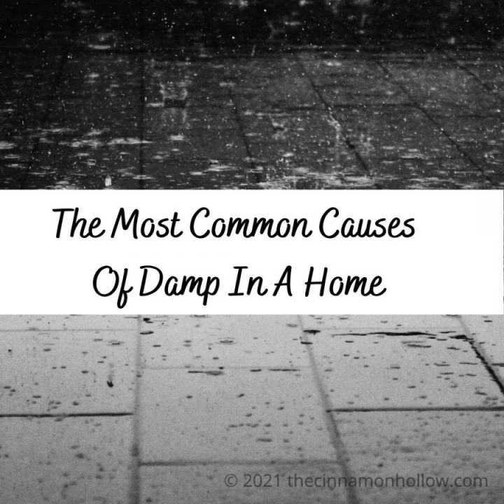 The Most Common Causes Of Damp In A Home