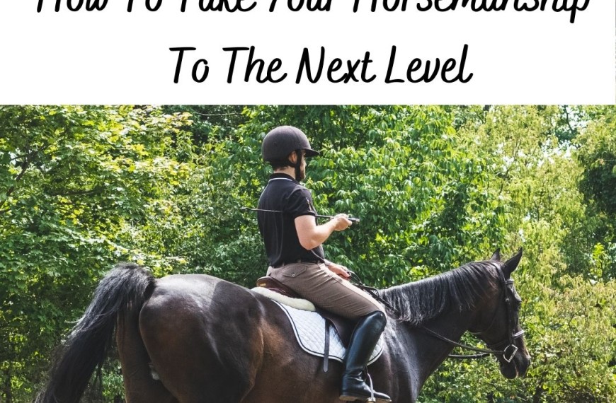 How To Take Your Horsemanship To The Next Level