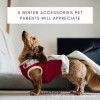 5 Winter Accessories Pet Parents Will Appreciate