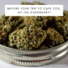 Before Your Trip To Cape Cod, Hit The Dispensary