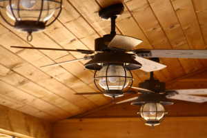 Multi-Blade Ceiling Fan