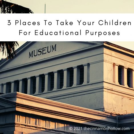 3 Places To Take Your Children For Educational Purposes