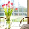 Benefits of flowers and greenery in your home