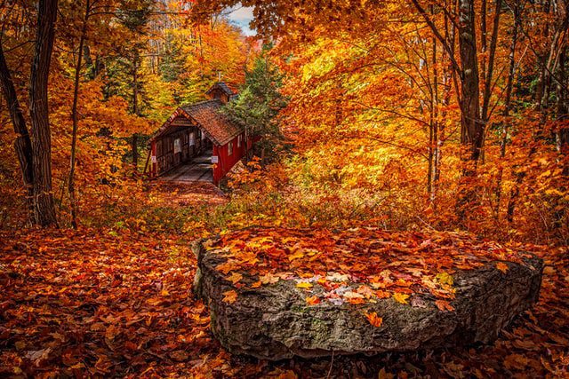 New England In The Fall