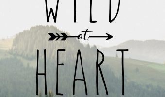 Wild At Heart by Stacy Gold