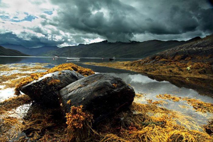 Wilderness Scotland Autumn Highlands