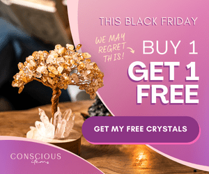 Conscious Items Black Friday Deals