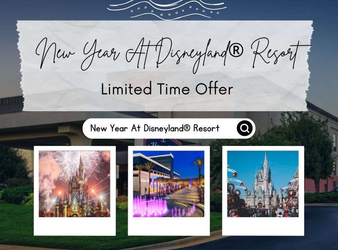 New Year At Disneylandย Resort