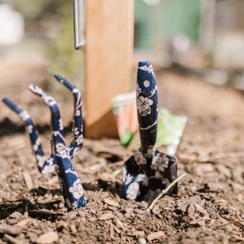 The Best Tools For Planting Small Plants In Your Garden