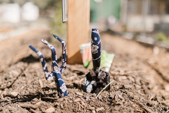 Best tools for planting a small garden