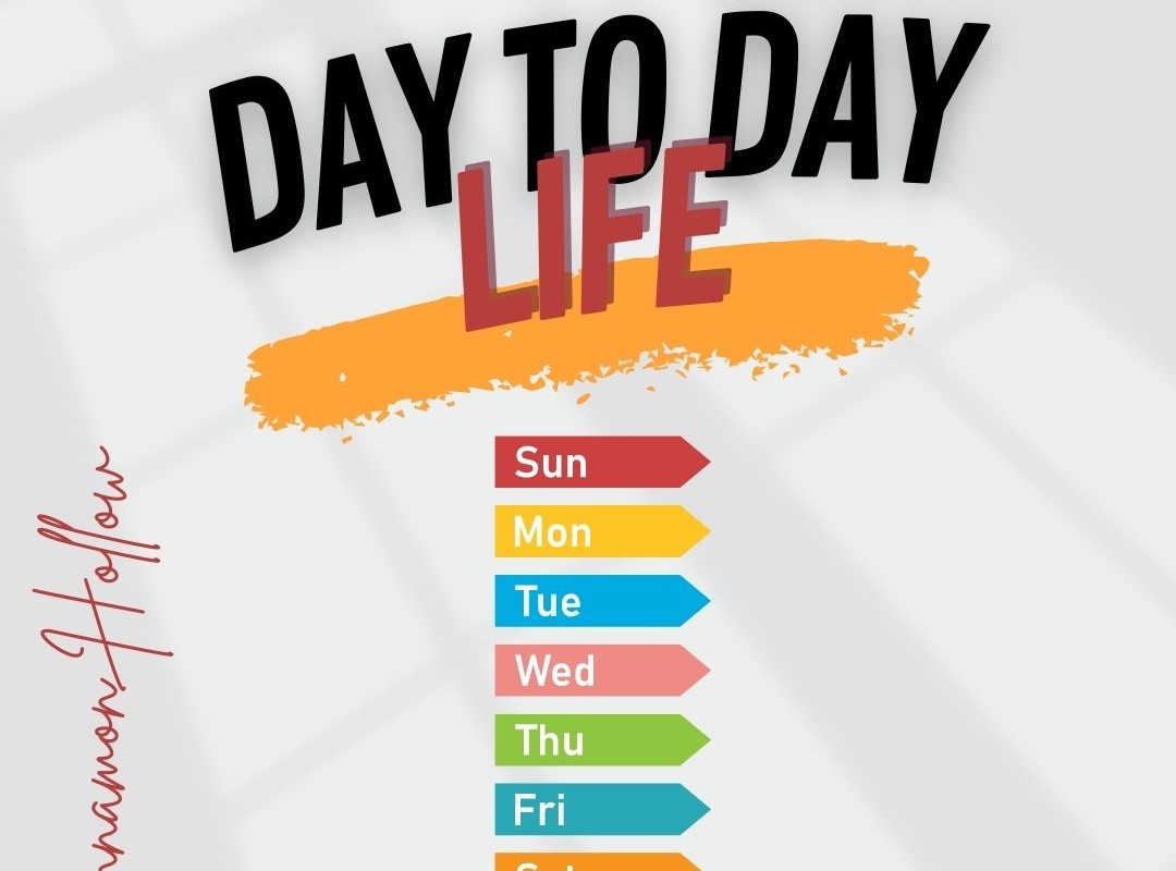 Day To Day Life