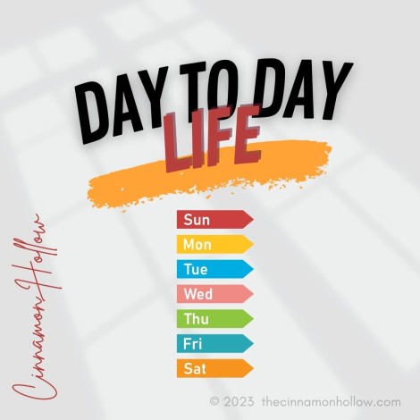 Day To Day Life