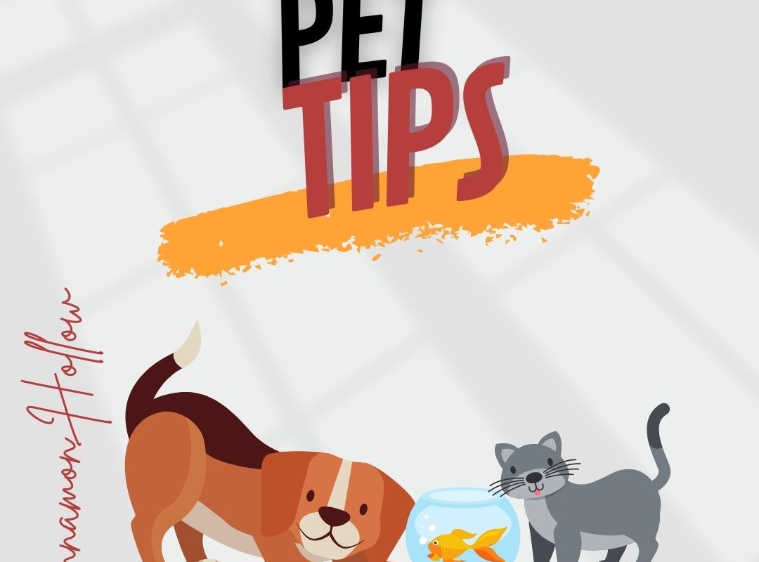 Pet And Pet Tips