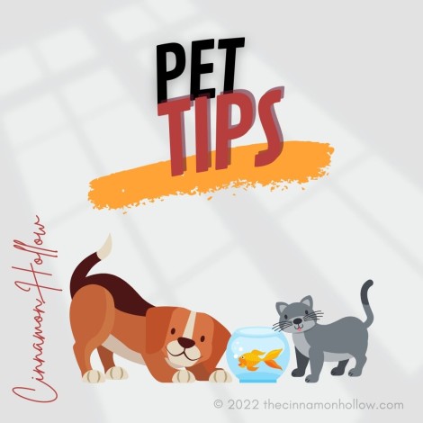 Pet And Pet Tips