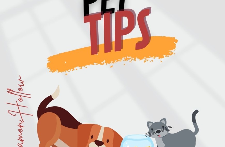 Pet And Pet Tips