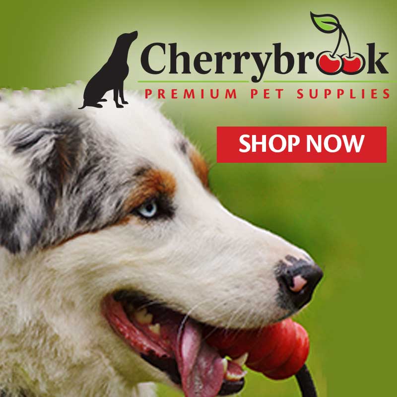 Save 20% Off Pet Supplies Today Only + Extra Discounts At CherryBrook