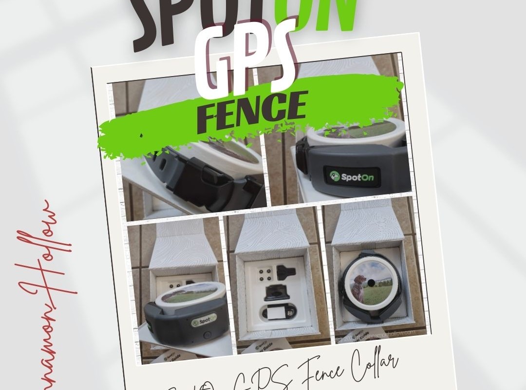 SpotOn GPS Fence