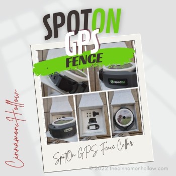 SpotOn GPS Fence: How To Keep Your Dog In The Yard