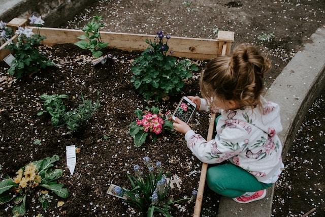 Garden For Kids