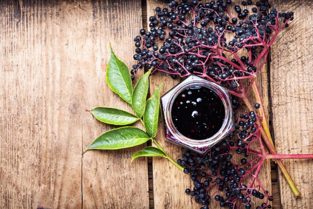 Elderberry - Essential Health Supplements